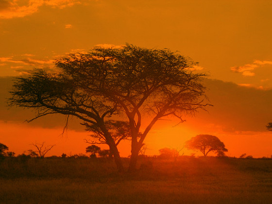 Sunrise_Matobo_Zimbabwe